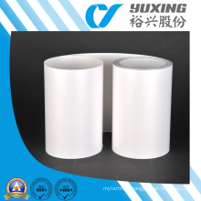 Hydrolysis Resistant Plastic Film Roll for PV Backsheets (CY11GU)